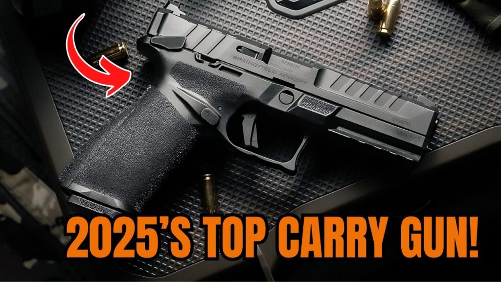 Best Concealed Carry Guns 2025-The Gun Nobody Thought Would Win!