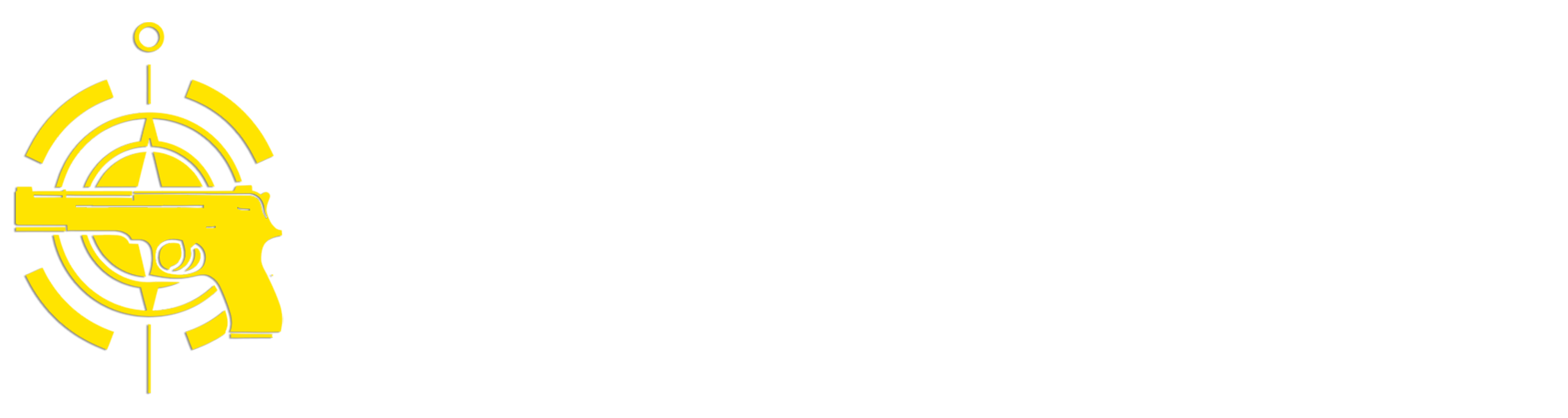 Gun Recs