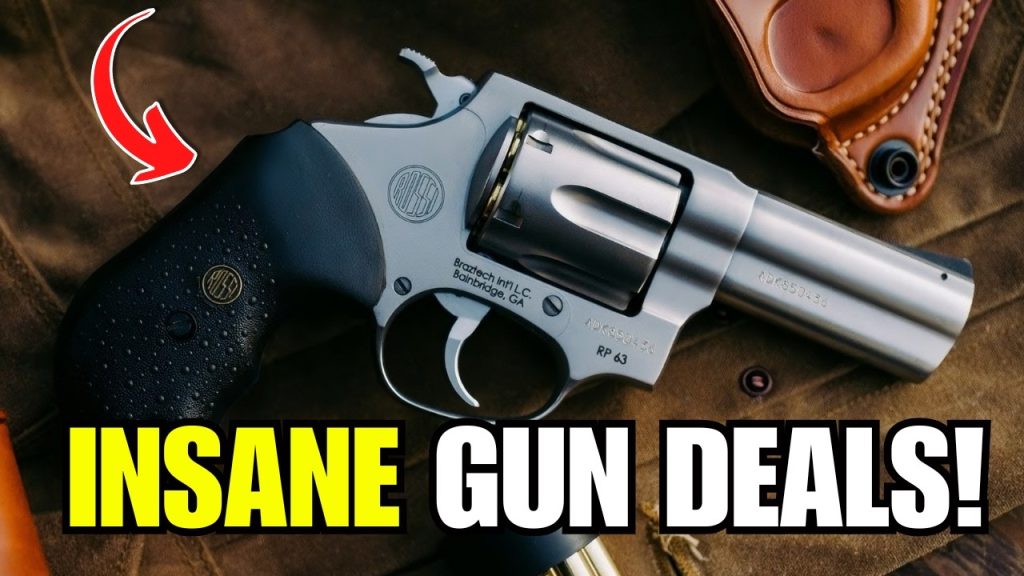 5 CHEAP GUNS EVERYONE IGNORES (But These 3 Guns Are Absolute Goldmines)